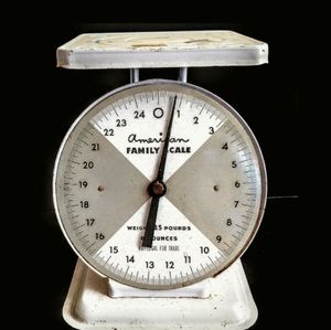 FARMHOUSE VINTAGE STYLE AMERICAN FAMILY SCALE